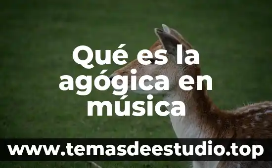 Qué es el ulsimur en la música 8 Qué es la agógica en música