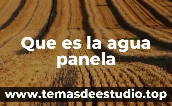 Agua de coco con piña para que es buena 7 Que es la agua panela