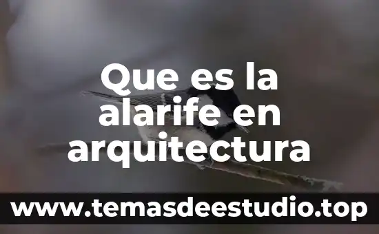 Que es la alarife en arquitectura