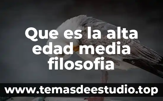 Que es mejor alta por nomina o pago por honorarios 5 Que es la alta edad media filosofia