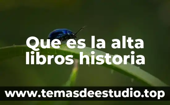 Que es la alta libros historia