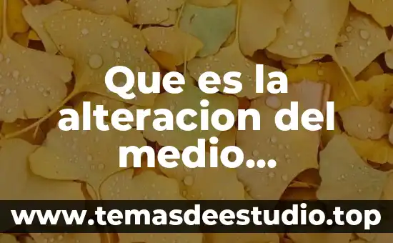 Que es una alteracion de conciencia psicologia 5 Que es la alteracion del medio ambiente quinto grado descargar