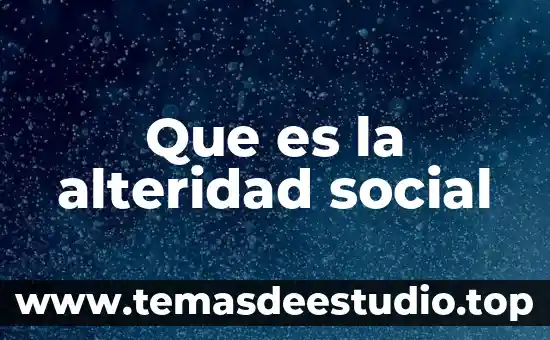 Que es estructura organizacional dinamica social 4 Que es la alteridad social
