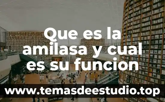 Que es la amilasa y cual es su funcion