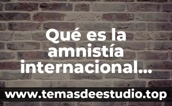 Que es un lavaloza definicion 6 Qué es la amnistía internacional definición