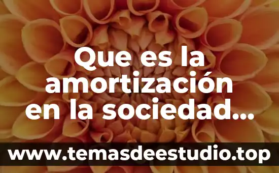 Que es una sociedad anonima bursatil de capital variable 5 Que es la amortización en la sociedad anónima