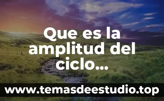 Que es la amplitud del proceso inicial de cemex 4 Que es la amplitud del ciclo economico