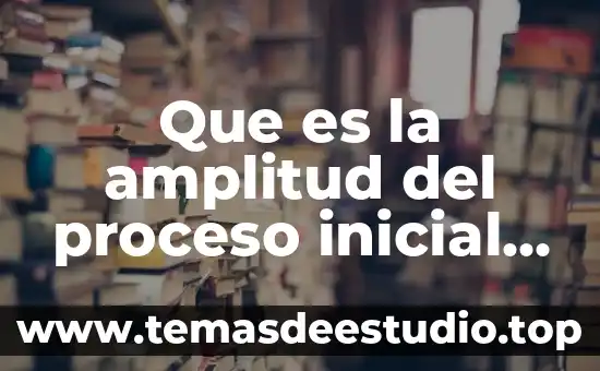 Que es la amplitud del ciclo economico 5 Que es la amplitud del proceso inicial de cemex