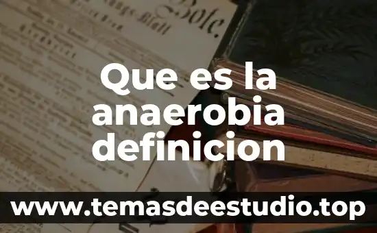 Que es la anaerobia definicion