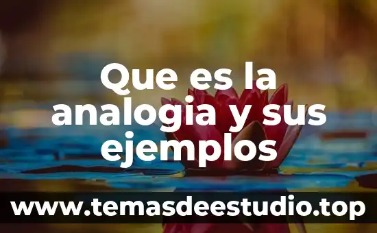 Qué es la analogía en la lógica 7 Que es la analogia y sus ejemplos