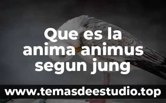 Que es la anima animus segun jung