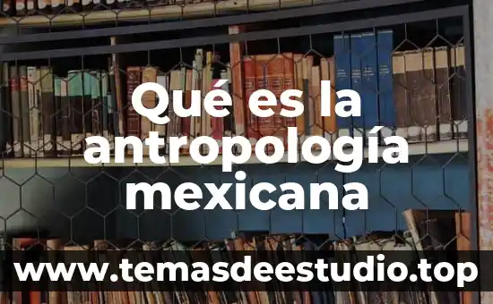 Que es la cosmologia mexicana 7 Qué es la antropología mexicana