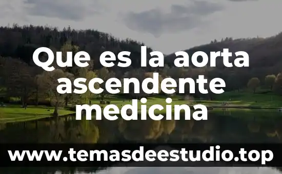 Qué es medicina interna general 7 Que es la aorta ascendente medicina