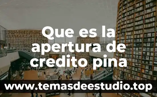 Qué es crédito definición 5 Que es la apertura de credito pina