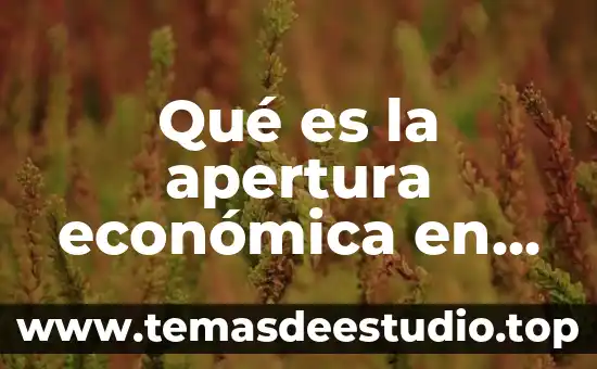Qué es la apertura económica en Colombia