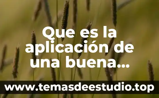 Que es la aplicación de una buena dieta
