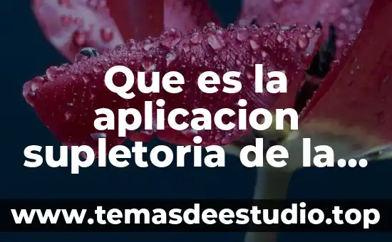 Que es la aplicación lasso 5 Que es la aplicacion supletoria de la ley