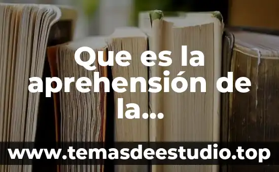 Qué es la comunicación oral y ejemplos 7 Que es la aprehensión de la comunicación