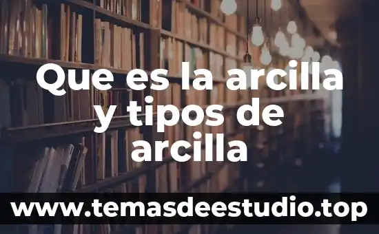 Que es el movimiento y tipos de movimiento 4 Que es la arcilla y tipos de arcilla