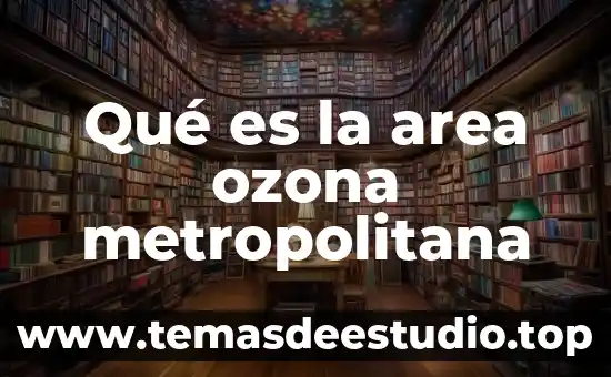 Qué es la area ozona metropolitana