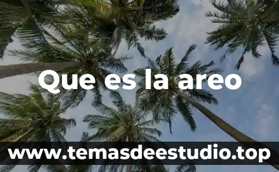 Welfare System que es 3 Que es la areo
