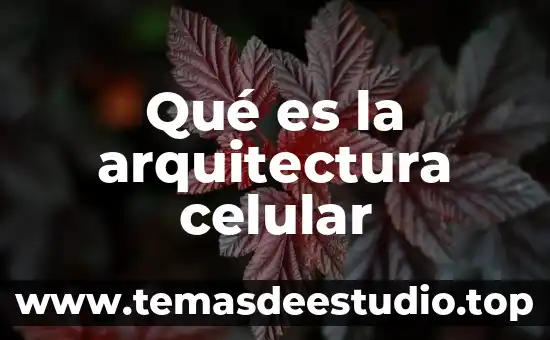 Qué es núcleo celular estructura 3 Qué es la arquitectura celular