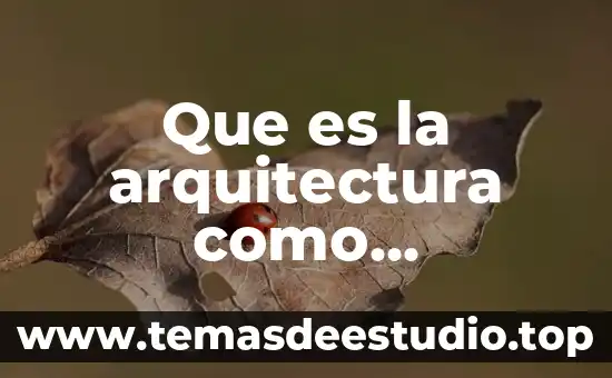 Que es un algoritmo cuantitativo ejemplos 4 Que es la arquitectura como manifestacion artistica