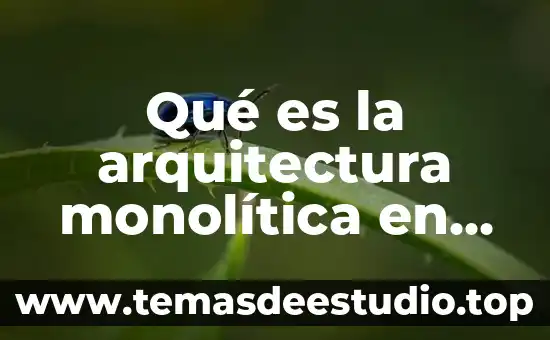 Que es un hecho de historia 4 Qué es la arquitectura monolítica en software