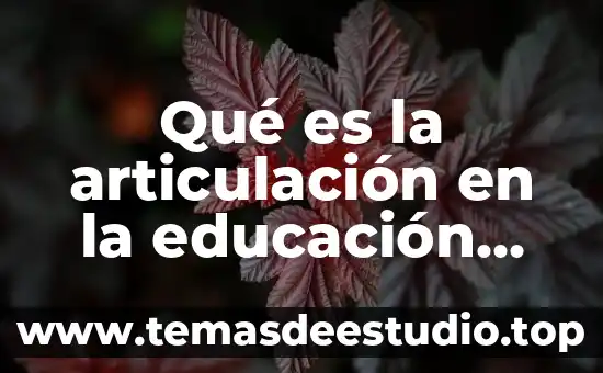 Qué es cultura y educación financiera 5 Qué es la articulación en la educación básica