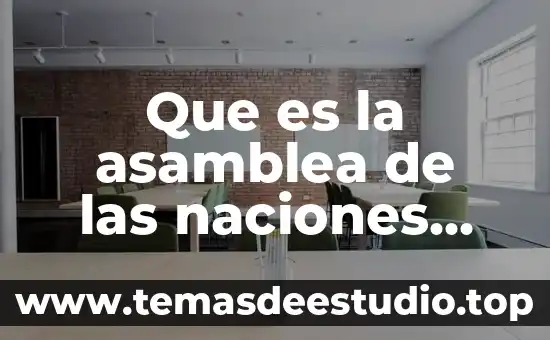 Que es la asamblea de las naciones unidas