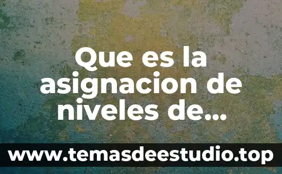 Qué es una intensidad eléctrica 3 Que es la asignacion de niveles de intensidad