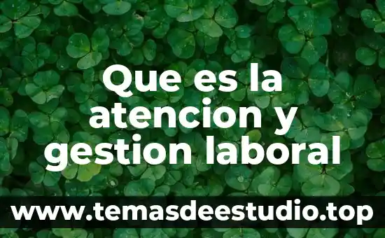 Qué es la demanda de atención en la historia social 6 Que es la atencion y gestion laboral