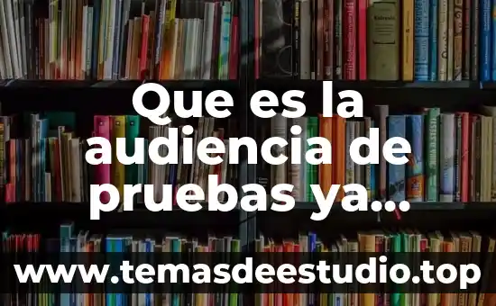 Que es la audiencia de pruebas ya legatos