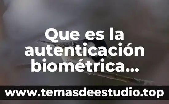 Que es imparticion de justicia segun autores 4 Que es la autenticaci贸n biom茅trica autores