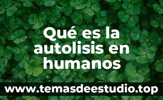 Qué es la cdn en derechos humanos 5 Qué es la autolisis en humanos