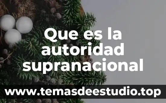 Que es el conocimiento por autoridad 3 Que es la autoridad supranacional