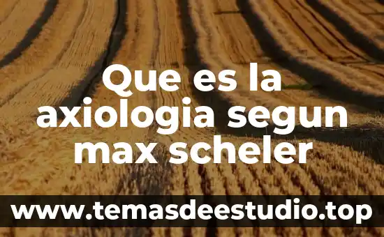 Max Weber que es la sociologia 8 Que es la axiologia segun max scheler