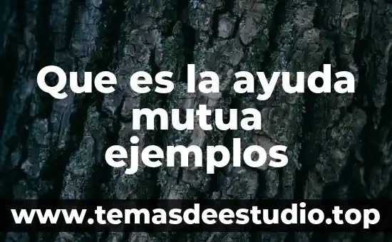 Que es la ayuda mutua ejemplos
