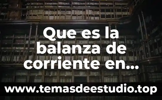 Que es el polo norte relacionado con el magnetismo 4 Que es la balanza de corriente en electricidad y magnetismo