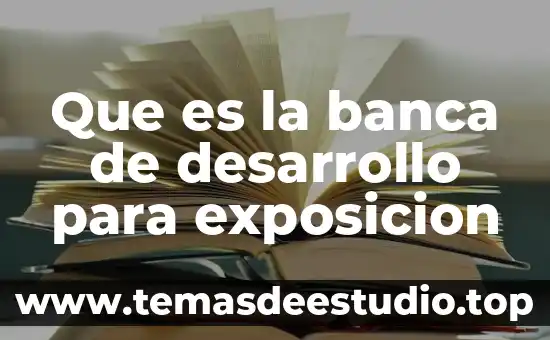 Que es la banca de desarrollo para exposicion