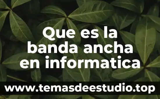 Que es dec en informatica 3 Que es la banda ancha en informatica