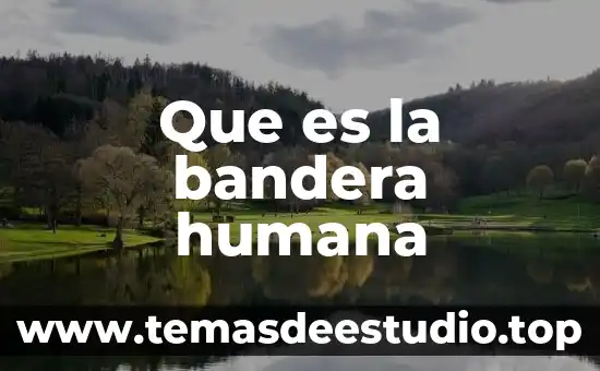 Que es un internista general 3 Que es la bandera humana