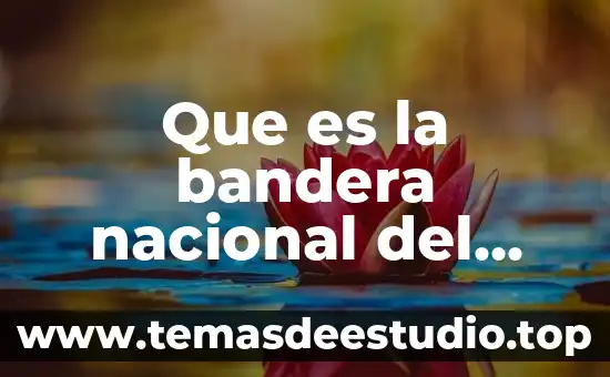 Que es una reseña d libro 5 Que es la bandera nacional del ecuador