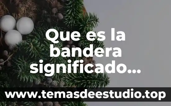 Que es erga omnes significado 3 Que es la bandera significado para niños