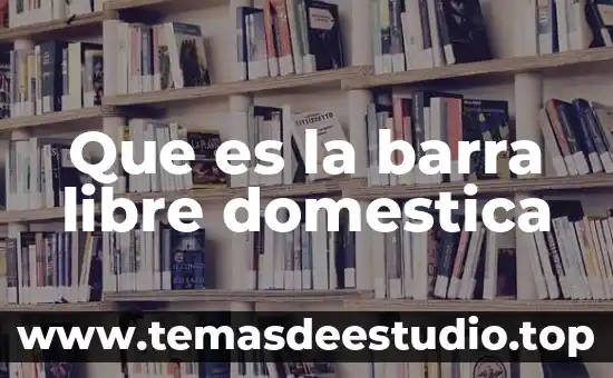 Que es la barra libre domestica