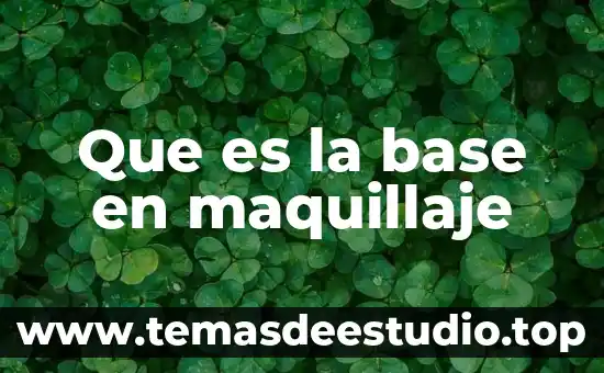 Que es lo que mas se utliza para maquillaje 4 Que es la base en maquillaje