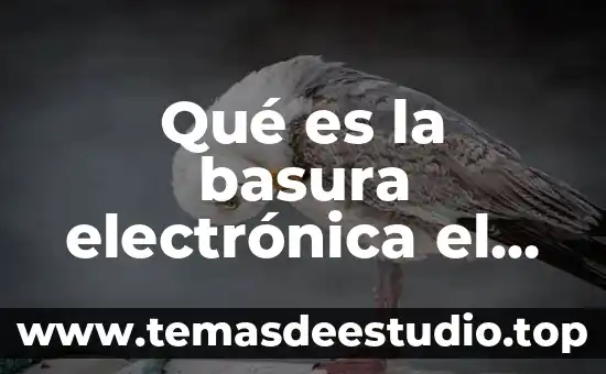 200Bp que es electrónica 5 Qué es la basura electrónica el símbolo