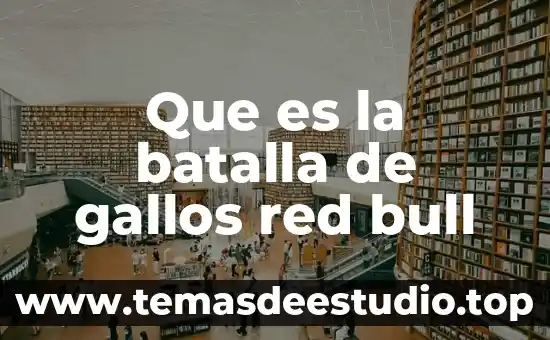 Qué es un parámetro de red 5 Que es la batalla de gallos red bull