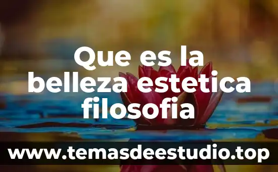 Que es ayuntarse con un animal 4 Que es la belleza estetica filosofia