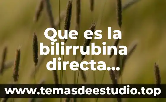 Inyección indirecta que es su funcion y significado 3 Que es la bilirrubina directa indirecta y total